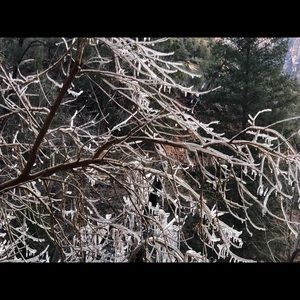 Meet your Posher, Iman